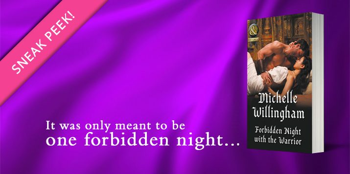 Exclusive excerpt: Forbidden Night with the Warrior
