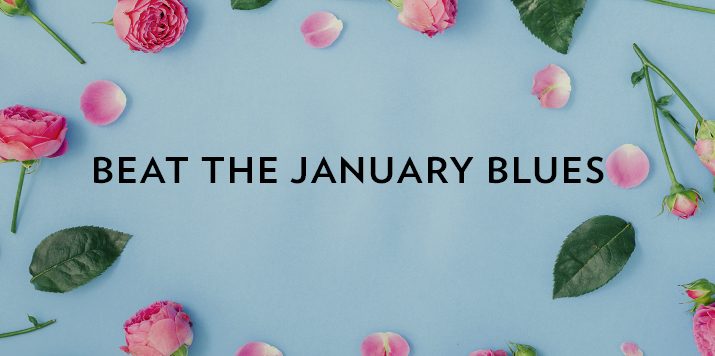 Our authors give their tips for beating the January blues!