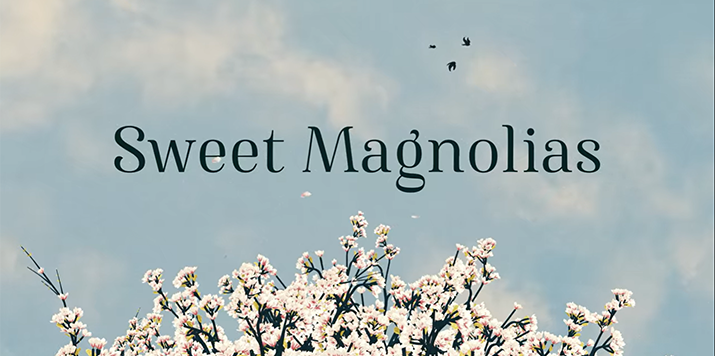Sherryl Woods: Sweet Magnolias